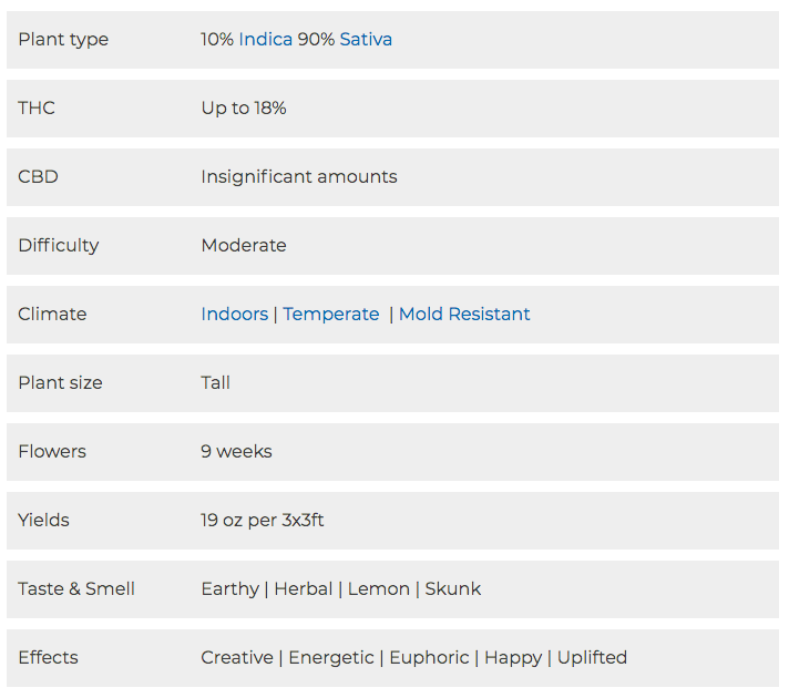 Image of Super Silver Haze Attributes USA