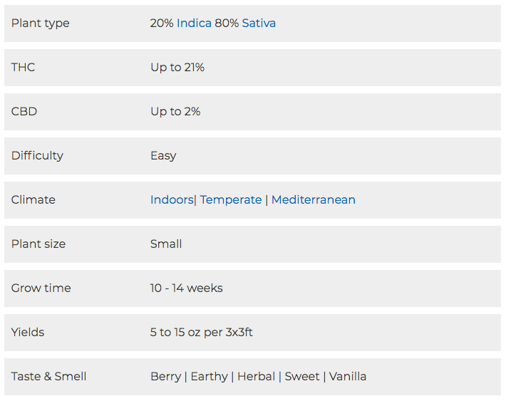 image of blue dream autoflower seeds attributes