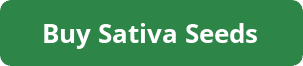 Button to buy sativa marijuana seeds in the US