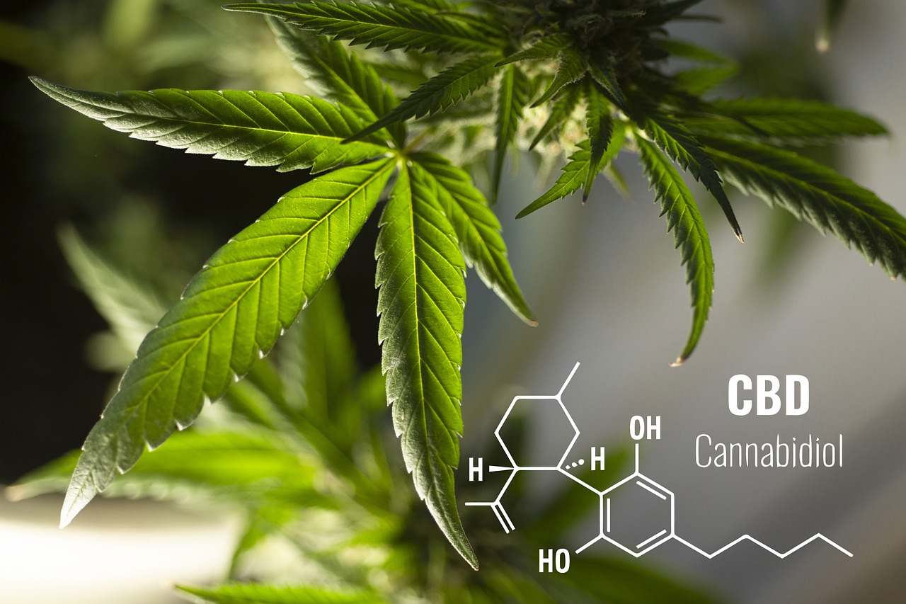 What is CBD? Learn Everything You Need to Know