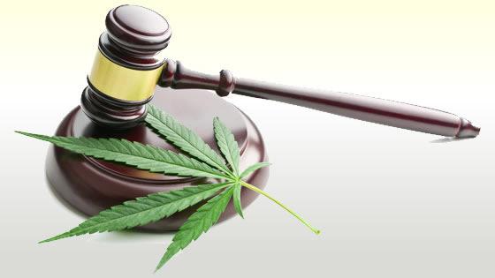 Cannabis and Gavel - Different State Laws on Marijuana