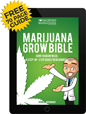 Download for the free marijuana grow guide