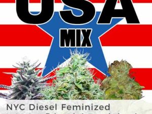 USA Marijuana seeds mixpack