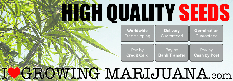 ILGM Weed Seeds Review