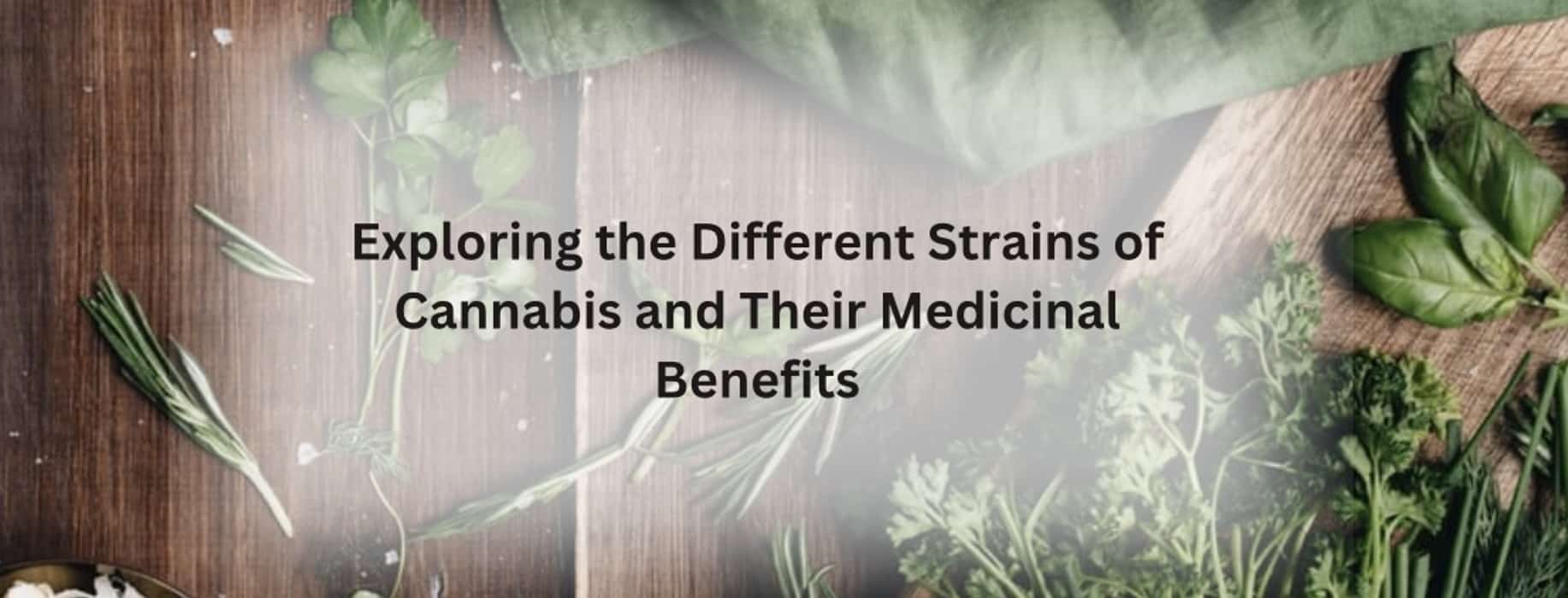 Exploring the Different Strains of Cannabis and Their Medicinal Benefits